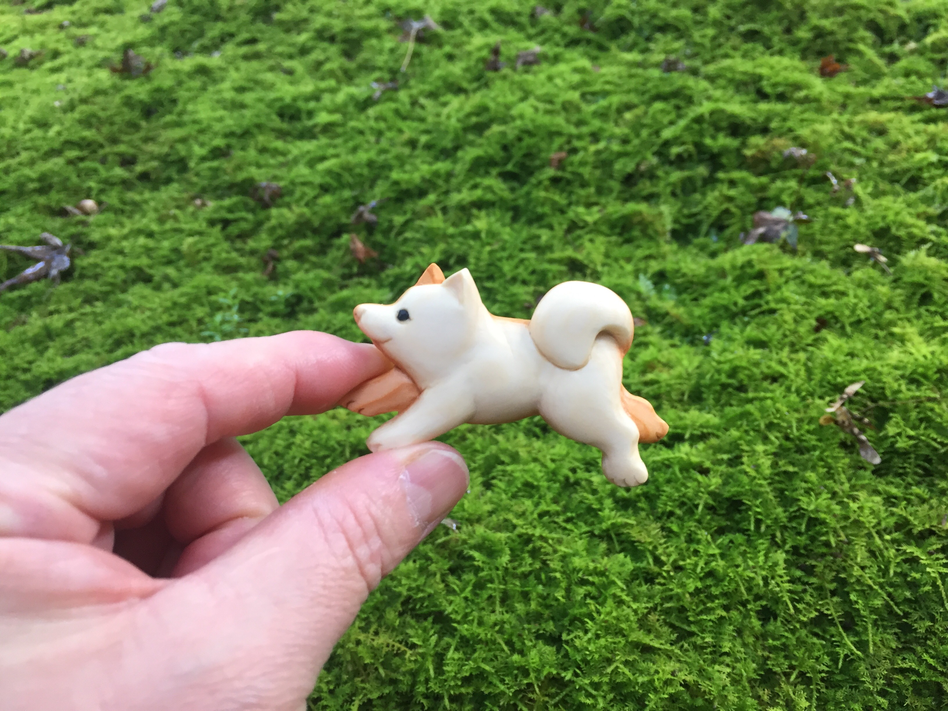 陶器製 柴犬 nach ナッシュ リング+ピンブローチ