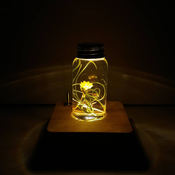 ミニハーバリウムランプ　" Memoria "  - 森のキオク - 1枚目の画像