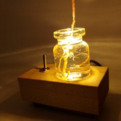 照亮植物的小燈“植物” 第4張的照片