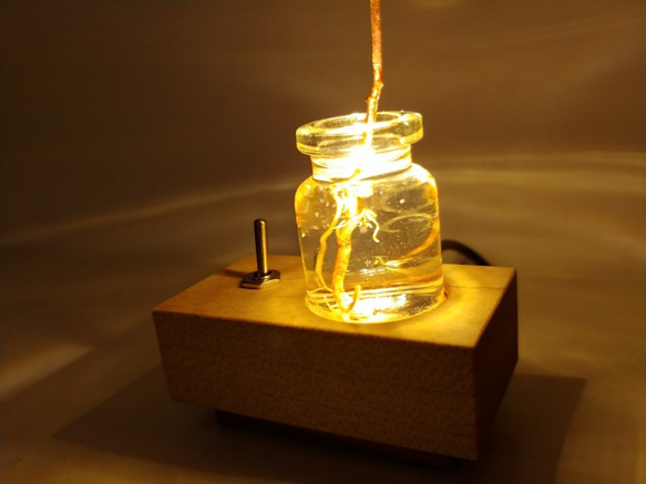 照亮植物的小燈“植物” 第4張的照片