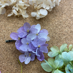 色とりどり   プリザーブドフラワー紫陽花のポニーフック 紫陽花ヘアアクセサリー 3枚目の画像