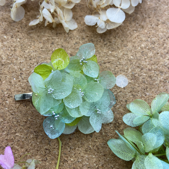 色とりどり   プリザーブドフラワー紫陽花のポニーフック 紫陽花ヘアアクセサリー 4枚目の画像