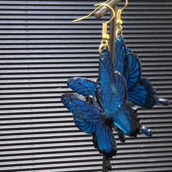 瑠璃蝶のヒラヒラ耳飾り 4枚目の画像