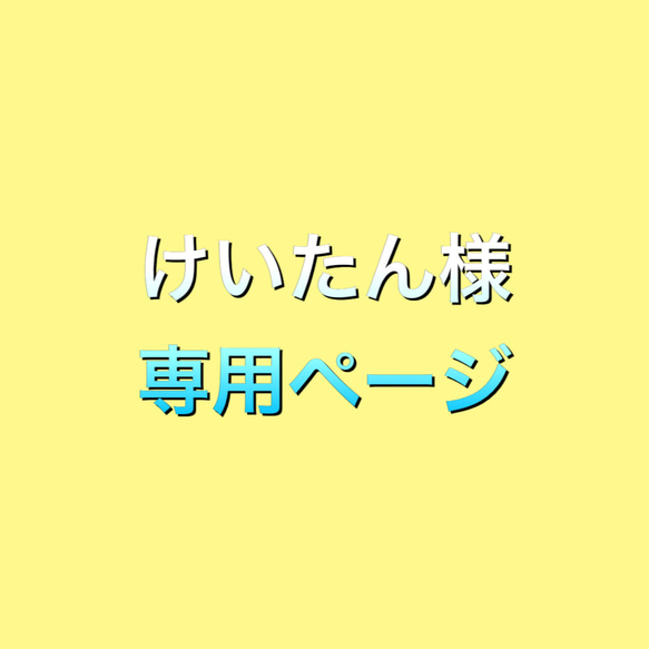 けいたん様専用ページ　つみきオーダー2セット 1枚目の画像