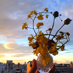 花挿し　弐 3枚目の画像