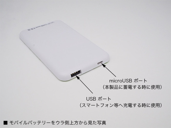 かわいい小鳥 植物 花柄をプリント 蓄電用コード付モバイルバッテリー「青いとり」2334 4枚目の画像