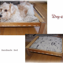 犬猫用木製ペットベッド枠 1枚目の画像
