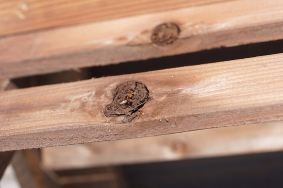 木製ガーデニングシェルフ3段　☆鉢置き 飾り棚 レトロ ラック 4枚目の画像