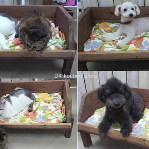 犬猫用木製ペットベッド Lサイズ クッション・ベッド HOUT-4 通販