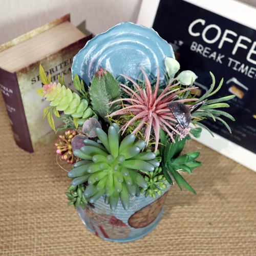 ★多肉植物　寄せ植え〜リメ缶寄せ〜★ ★多肉植物　寄せ植え〜リメ缶寄せ〜★