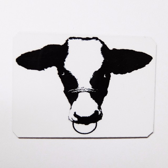 牛のマグネット(５枚セット) 1枚目の画像