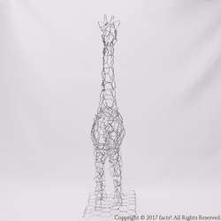 麒麟 / Giraffe 2枚目の画像