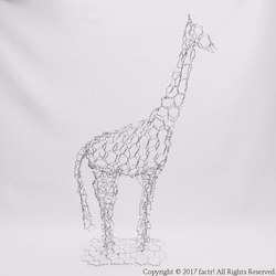 麒麟 / Giraffe 4枚目の画像
