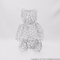 テディベア / Teddy bear 2枚目の画像