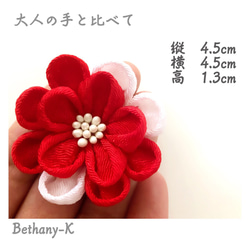 creema限定_受注≪4.5cmカメリア(下がり無し)≫赤×白色のつまみ細工　BETHANY- K_ベサニK製作所 3枚目の画像