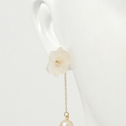 繡球和棉珍珠長耳環*白色* 第3張的照片