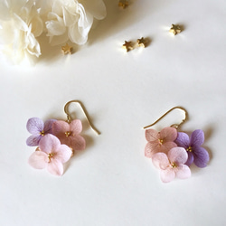 紫陽花の三色フックピアス*バイオレットピンク* 1枚目の画像