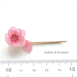 桃の花（モモの花）のヘアピン [八重咲き] 5枚目の画像