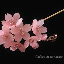 コーラルピンクの桜の簪 2枚目の画像