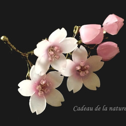 桜(染井吉野)のブローチ 1枚目の画像