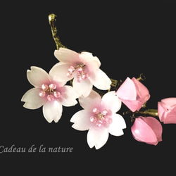 桜(染井吉野)のブローチ 2枚目の画像