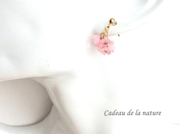 コーラルピンクの桜ピアス 5枚目の画像
