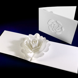Blooming flower pop-up message card<Camellia> 第1張的照片