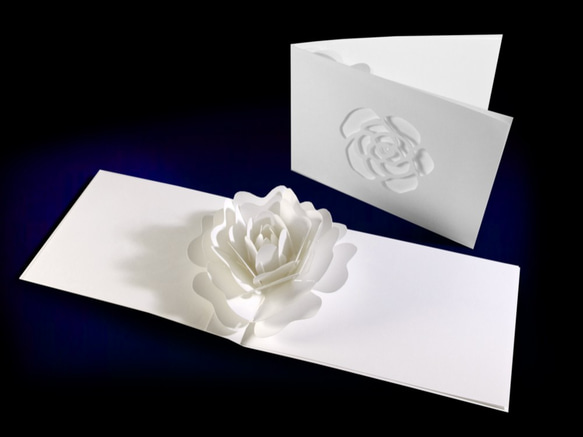 Blooming flower pop-up message card<Camellia> 第1張的照片