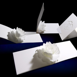 Blooming flower pop-up message card<Camellia> 第2張的照片