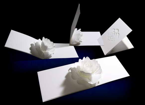 Blooming flower pop-up message card<Camellia> 第2張的照片