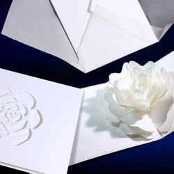 Blooming flower pop-up message card<Camellia> 第3張的照片