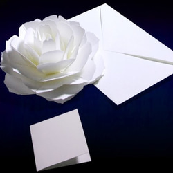 Blooming flower pop-up message card<Rose> 第3張的照片