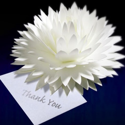 咲くようにひらく 花のサンキューカード〈ダリア〉forバースデー・ウェディング・クリスマスカード・メッセージカード 1枚目の画像