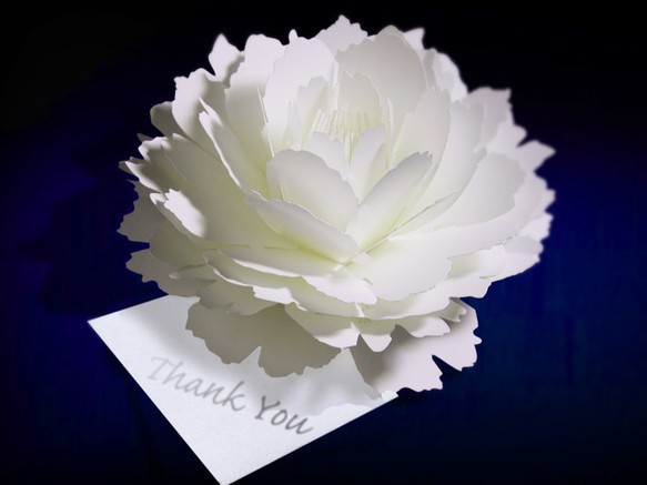 咲くようにひらく 花のサンキューカード〈ピオニー〉forバースデー・ウェディング・入学・卒業・母の日・クリスマスカード 1枚目の画像
