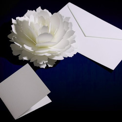 咲くようにひらく 花のサンキューカード〈ピオニー〉forバースデー・ウェディング・入学・卒業・母の日・クリスマスカード 3枚目の画像