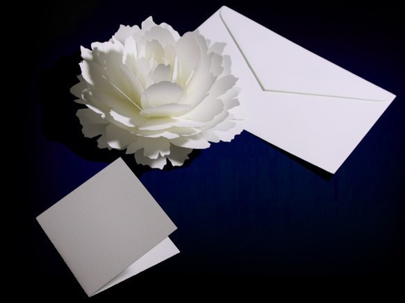 咲くようにひらく 花のサンキューカード〈ピオニー〉forバースデー・ウェディング・入学・卒業・母の日・クリスマスカード 3枚目の画像