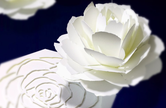 咲くようにひらく 花のメッセージカード〈ローズ〉　forバースデー・ウェディング・アニバーサリー 2枚目の画像