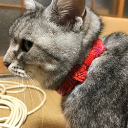 手織りの猫の首輪 6枚目の画像