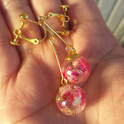 桜入りハーバリウムイヤリング☆ピンク (イヤリング、ピアス、樹脂ピアスに変更可能) 2枚目の画像