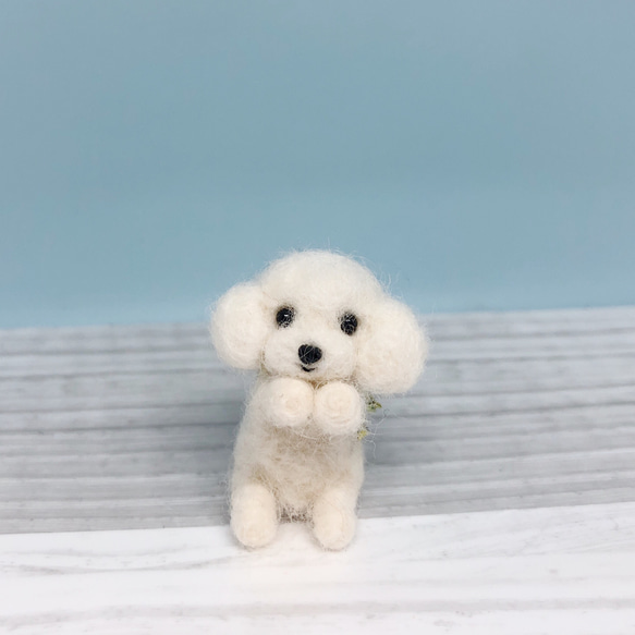 羊毛フェルト ミニチュアマスコット トイプードル 白 羊毛