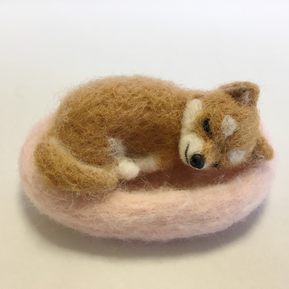 羊毛フェルトマスコット おねんね柴犬ちゃん 羊毛フェルト tinkle 通販