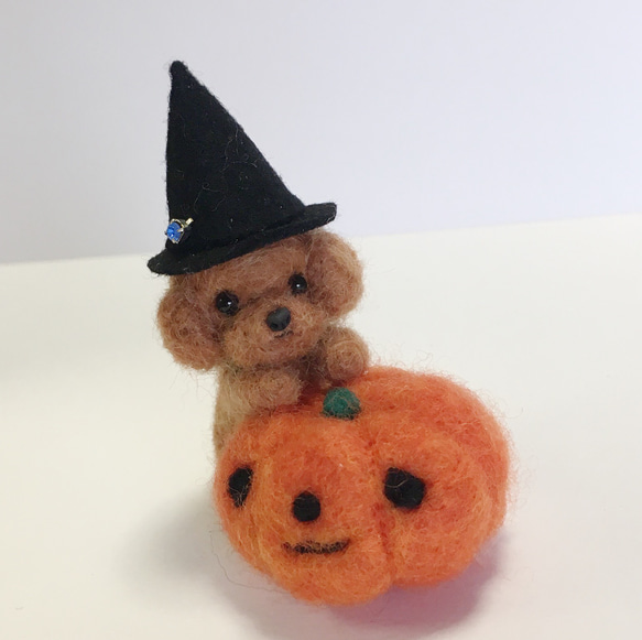 見本品 ハロウィーン 羊毛フェルトトイプードル トイプードル 見本品 ハロウィーン 羊毛フェルトトイプードル トイプードル 見本品