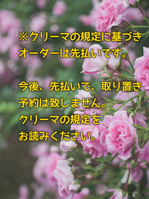 ※クリーマの規定に基づきオーダーは先払い‼よって取り置きや予約は今後致しません。 1枚目の画像