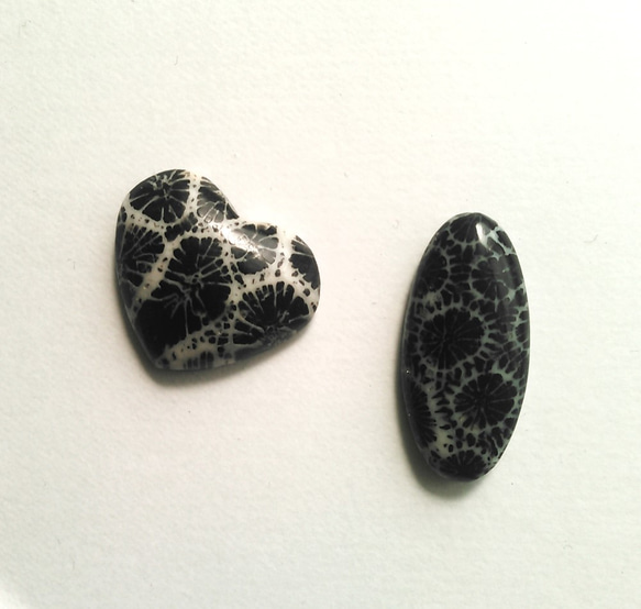 5/8ま送料無料>>黒の珊瑚化石＊自然が生んだ神秘の模様の化石サンゴ