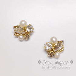 petit swaro earring 1枚目の画像