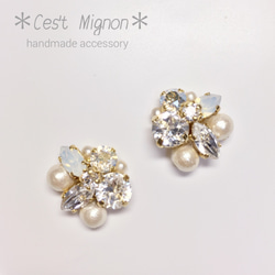 white mix swaro earring 1枚目の画像