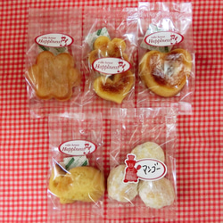 フエルト製アリスのケースに焼き菓子５袋詰め合わせ♪(*^▽^*) 3枚目の画像