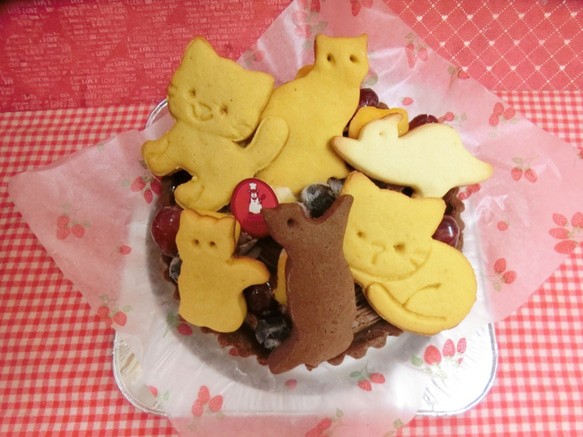 ５号　ネコのクッキーとフルーツトッピングのチョコタルト♪(＾◇＾) 1枚目の画像