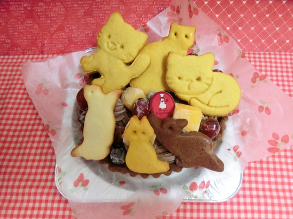 ５号　ネコのクッキーとフルーツトッピングのチョコタルト♪(＾◇＾) 4枚目の画像