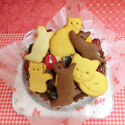５号　ネコのクッキーとフルーツトッピングのチョコタルト♪(＾◇＾) 5枚目の画像
